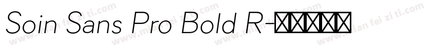 Soin Sans Pro Bold R字体转换